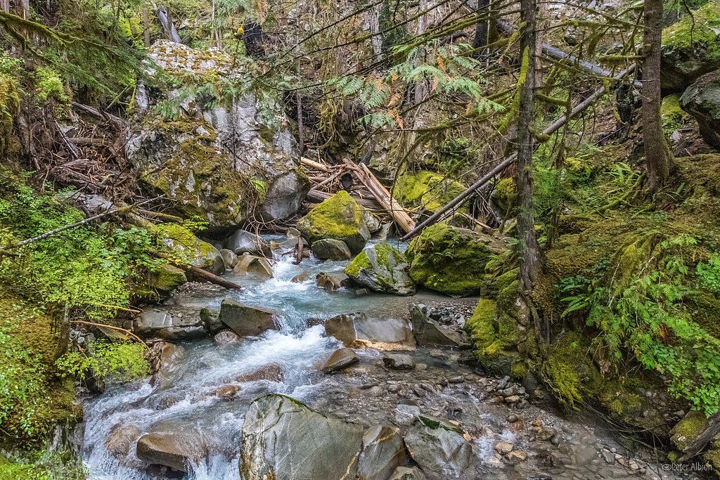 Ladder Creek Falls waterfall