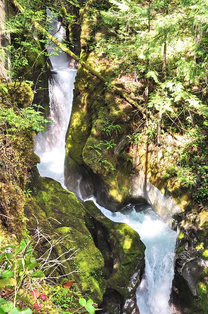 Ladder Creek Falls waterfall
