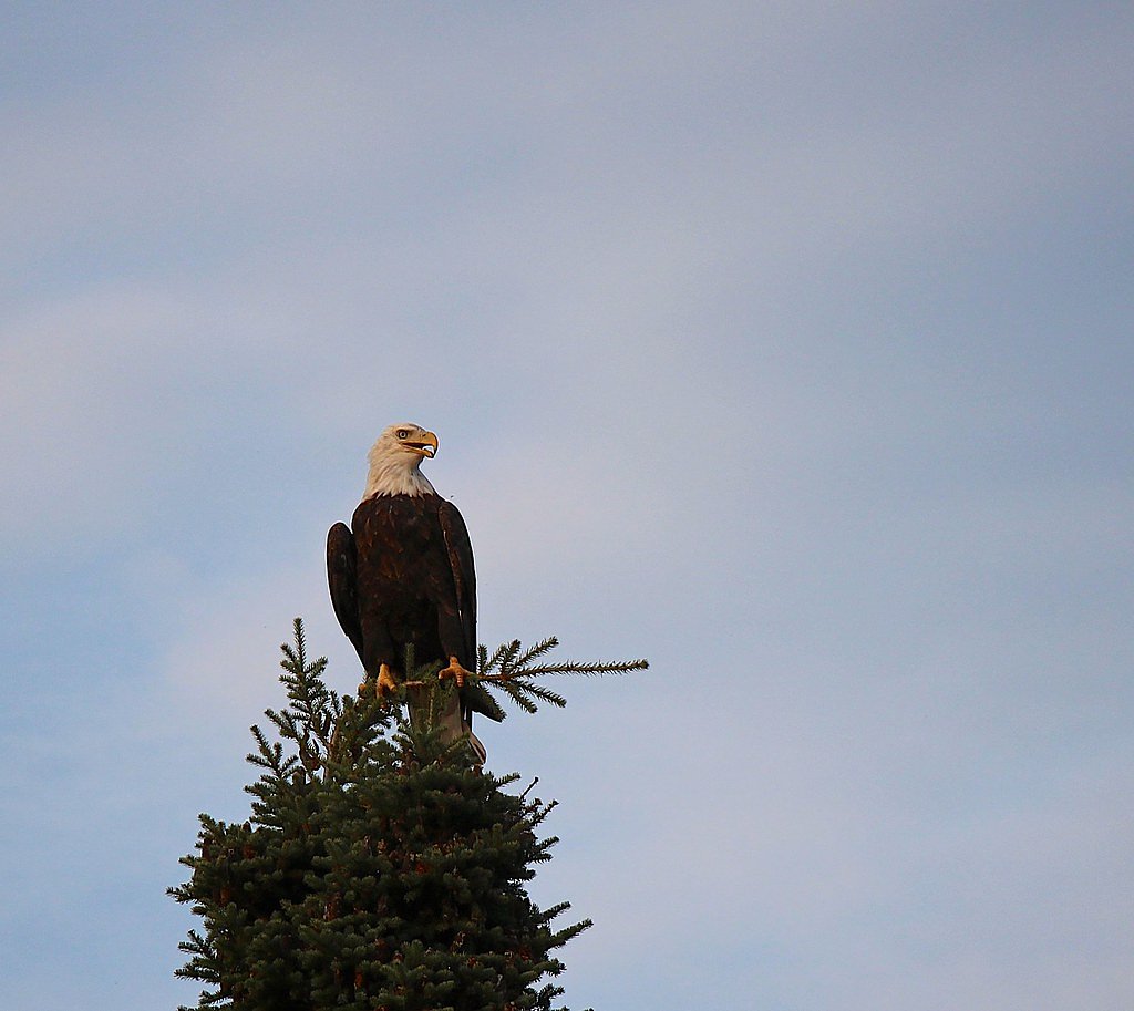 Last Falls waterfall