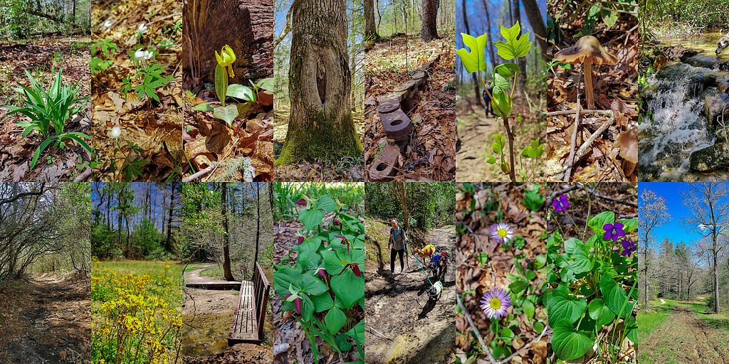 Laurel Creek Falls waterfall