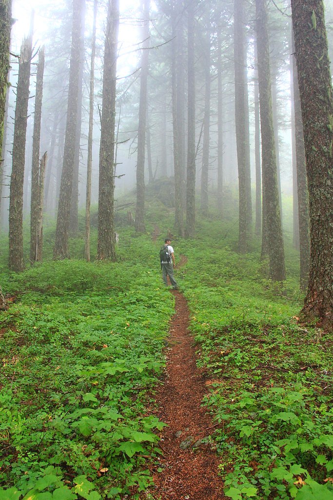Lava Island Falls waterfall