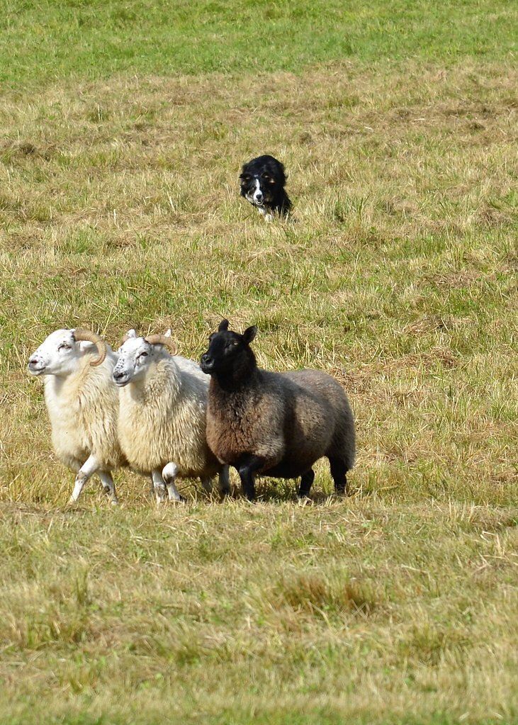 Leatherstocking Falls waterfall