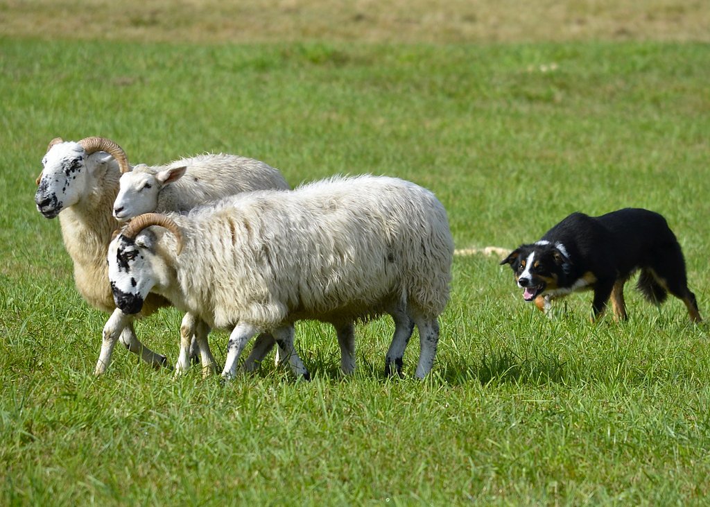 Leatherstocking Falls waterfall