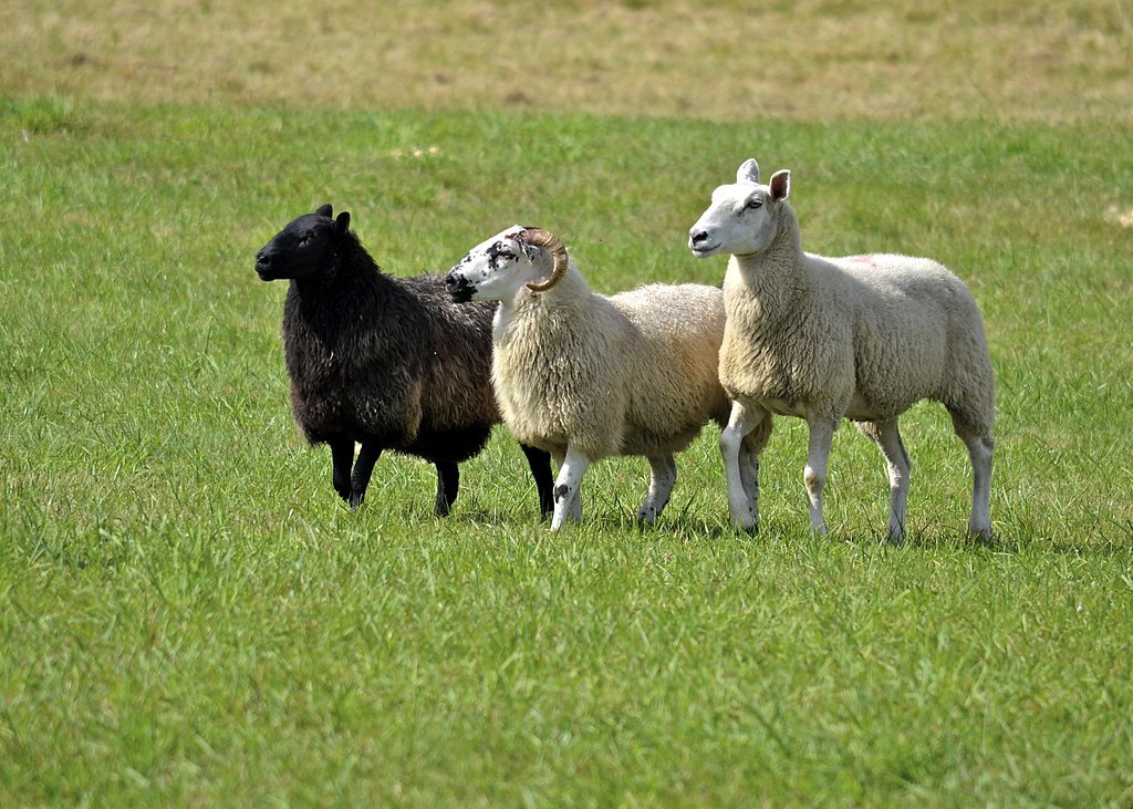 Leatherstocking Falls waterfall