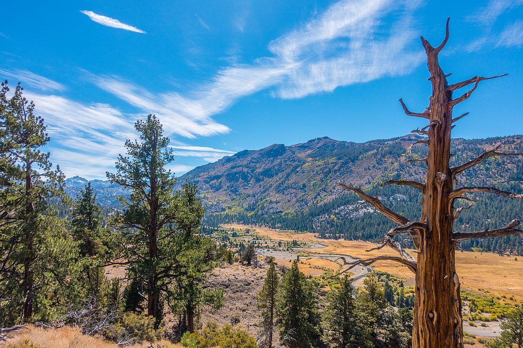Leavitt Falls waterfall
