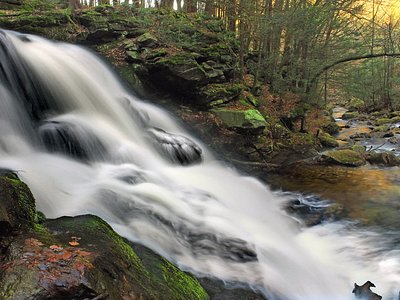 Lee Falls, PA