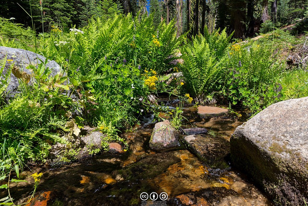 Lehamite Falls waterfall