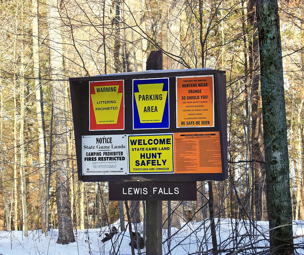 Lewis Falls waterfall