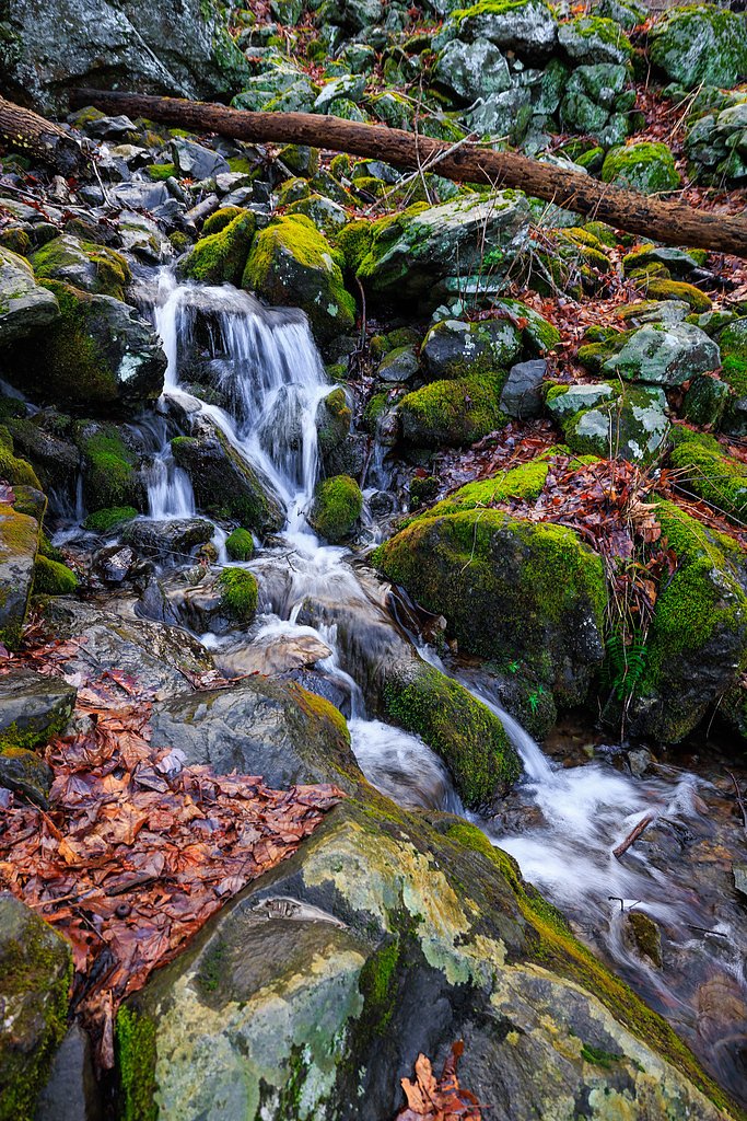 Lewis Spring Falls waterfall
