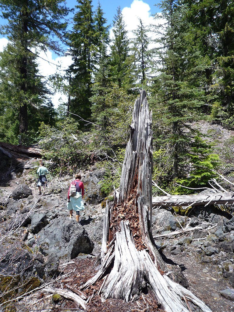 Linton Falls waterfall