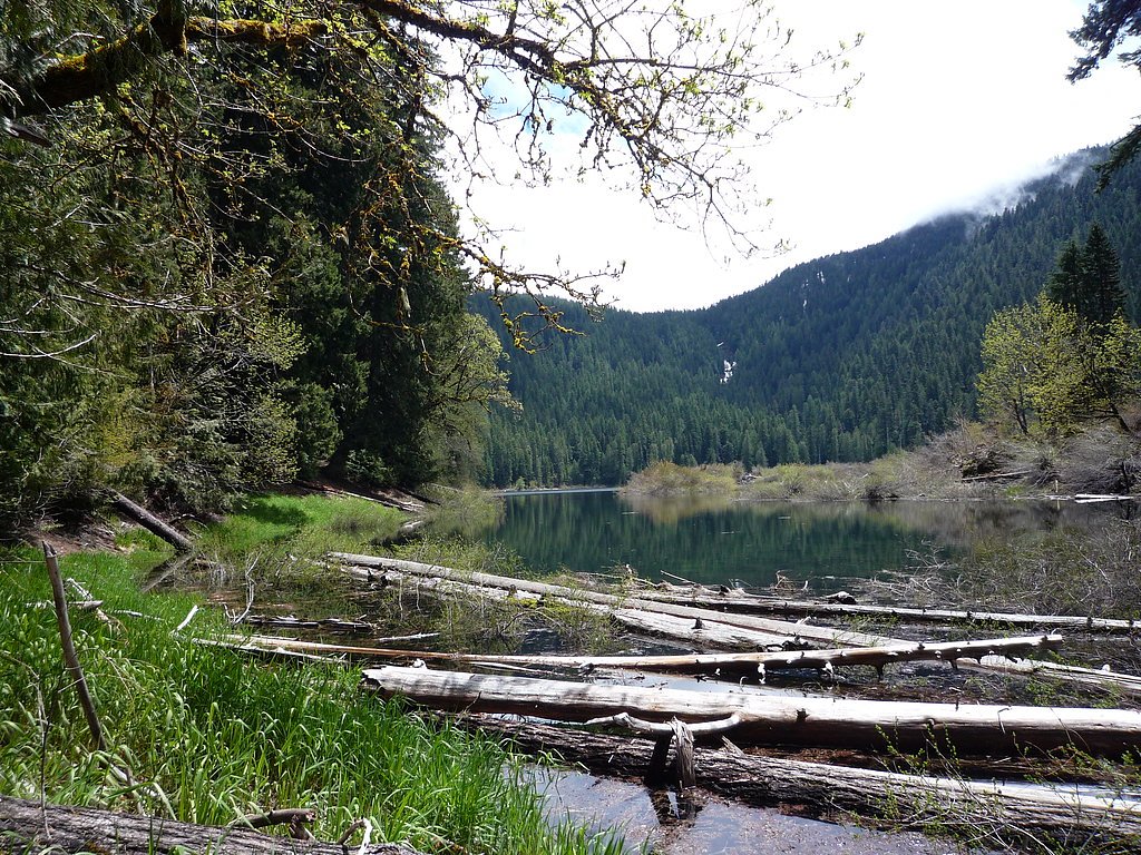 Linton Falls waterfall
