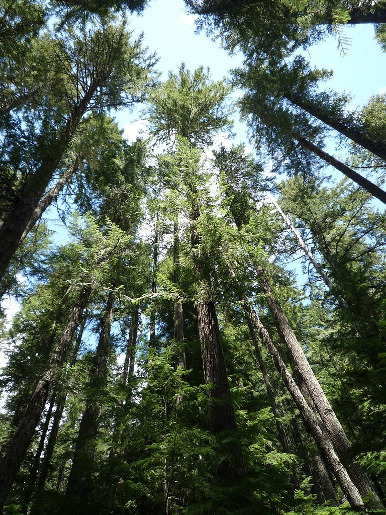 Linton Falls waterfall