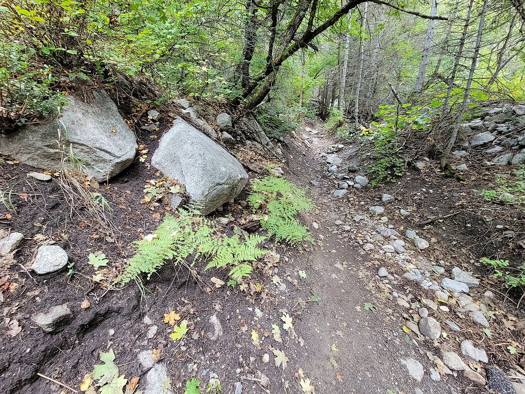 Lisa Falls waterfall