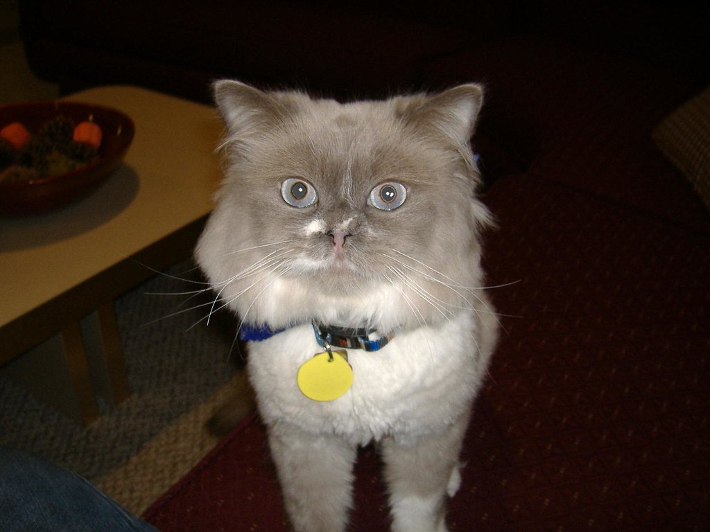 Little Boy Falls waterfall