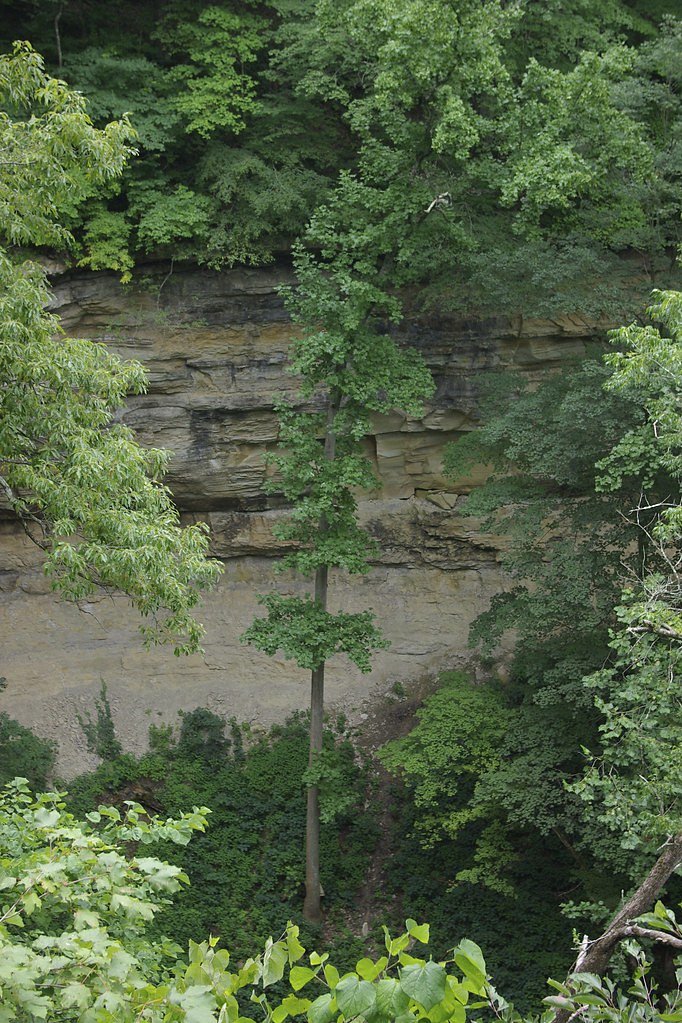 Little Clifty Falls waterfall