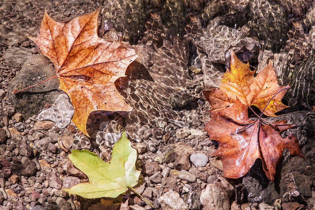 Little Clifty Falls waterfall