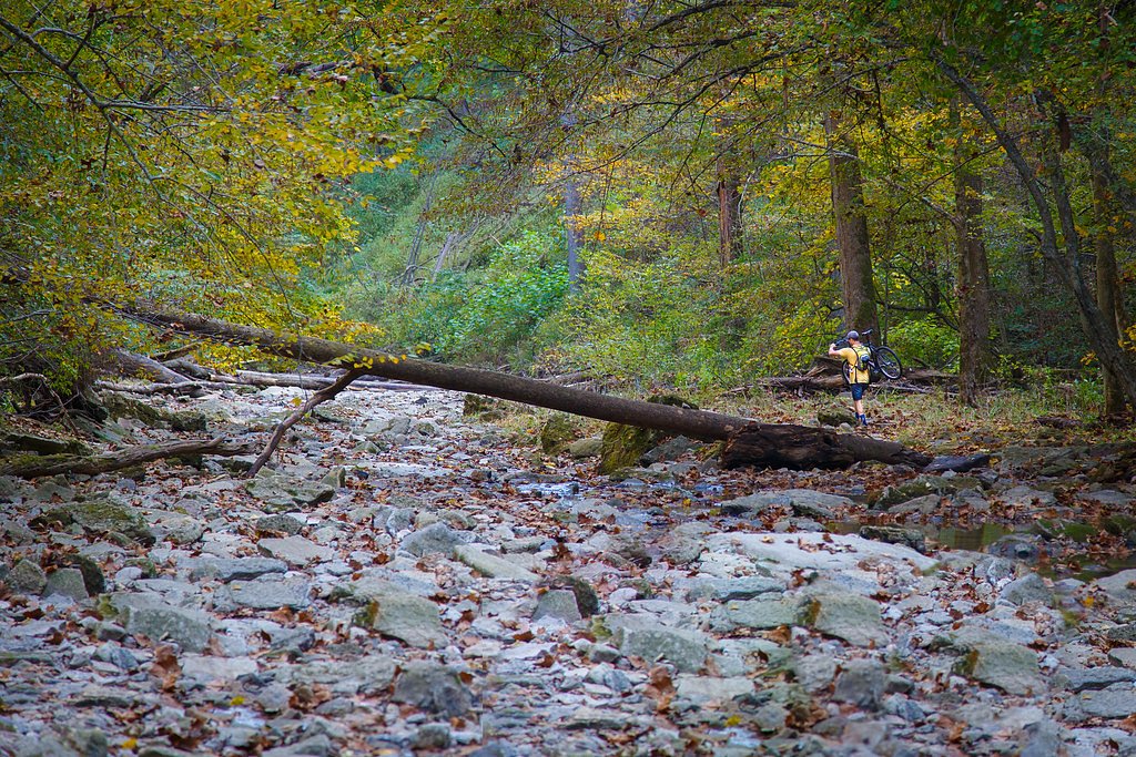 Little Clifty Falls waterfall