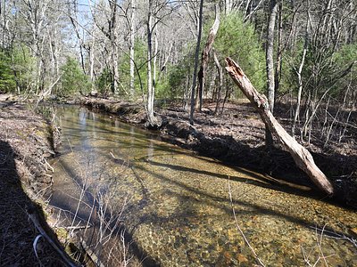 Little Falls