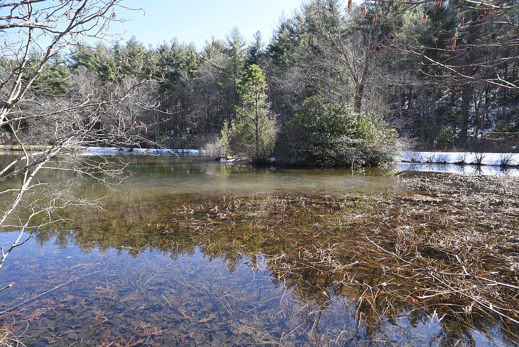 Little Falls waterfall
