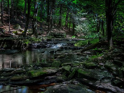 Little Falls, PA