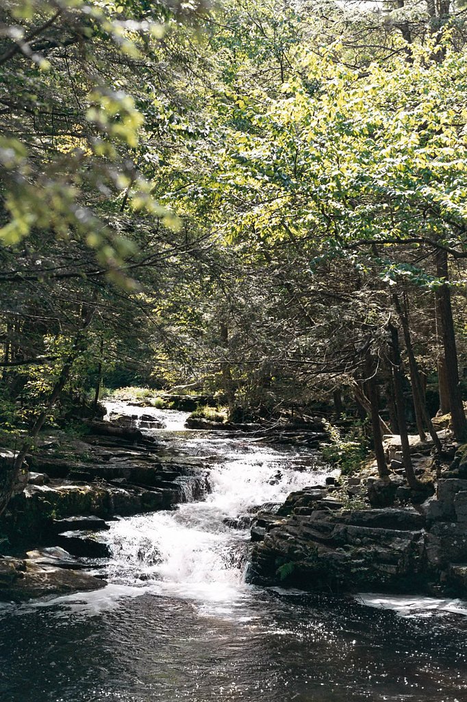 Little Falls waterfall