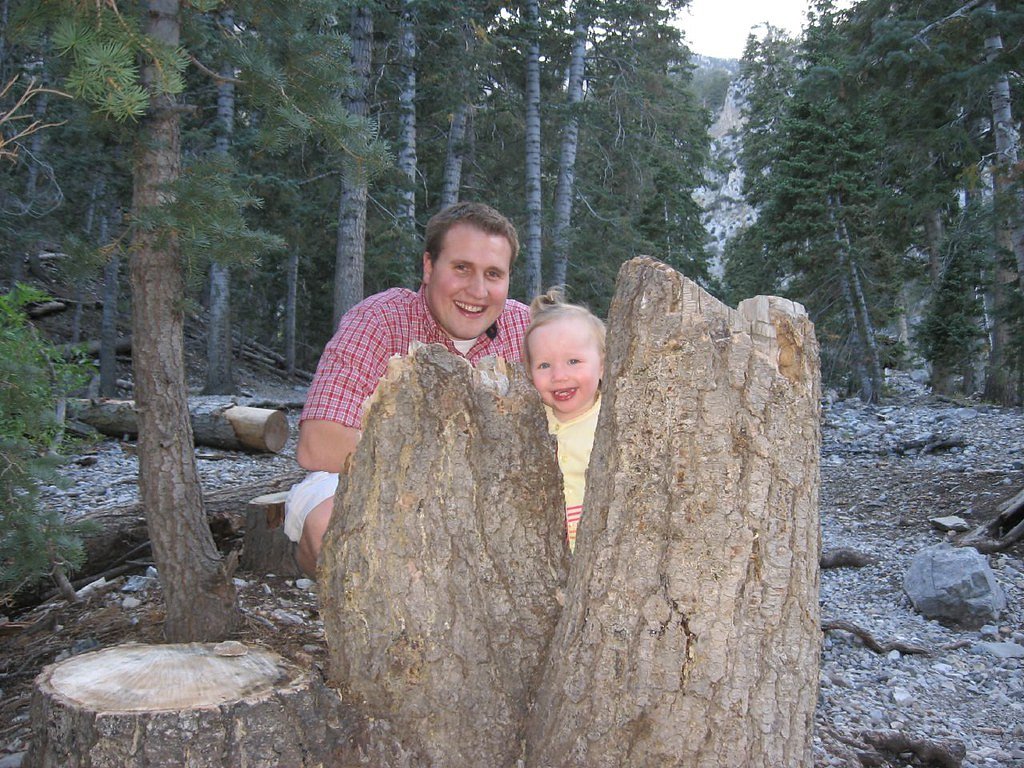 Little Falls waterfall