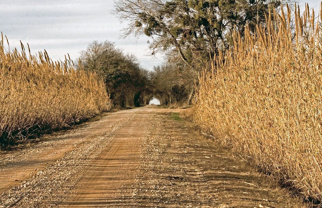 Little Falls waterfall