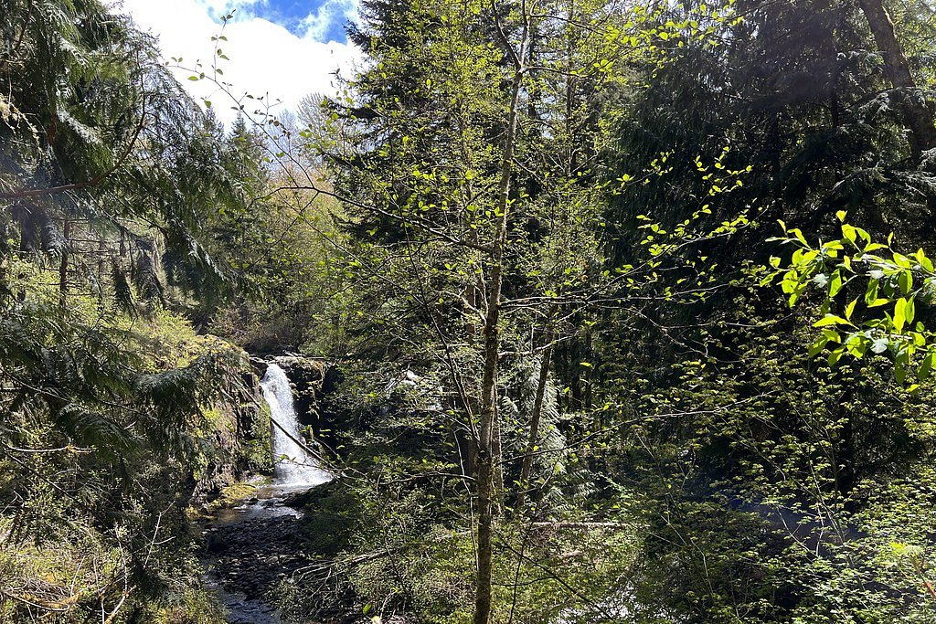 Little Mashel Falls waterfall