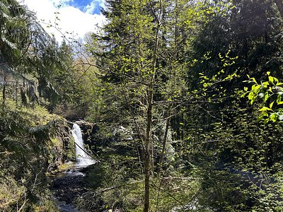 Little Mashel Falls
