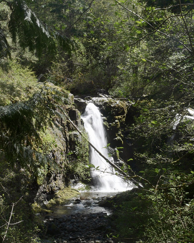 Little Mashel Falls waterfall