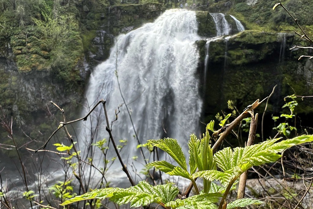 Little Mashel Falls waterfall
