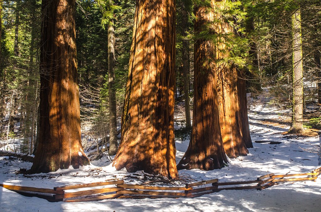 Little Nellie Falls waterfall