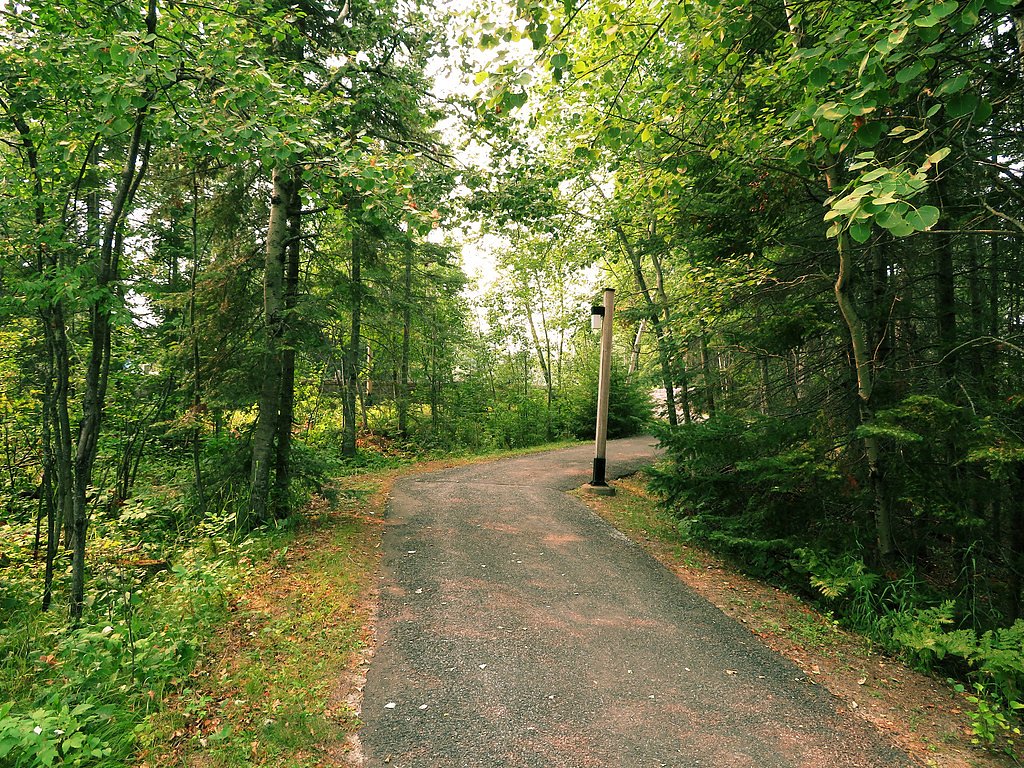 Loon Falls waterfall