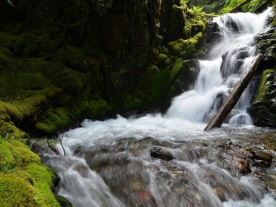 Lost Creek Falls