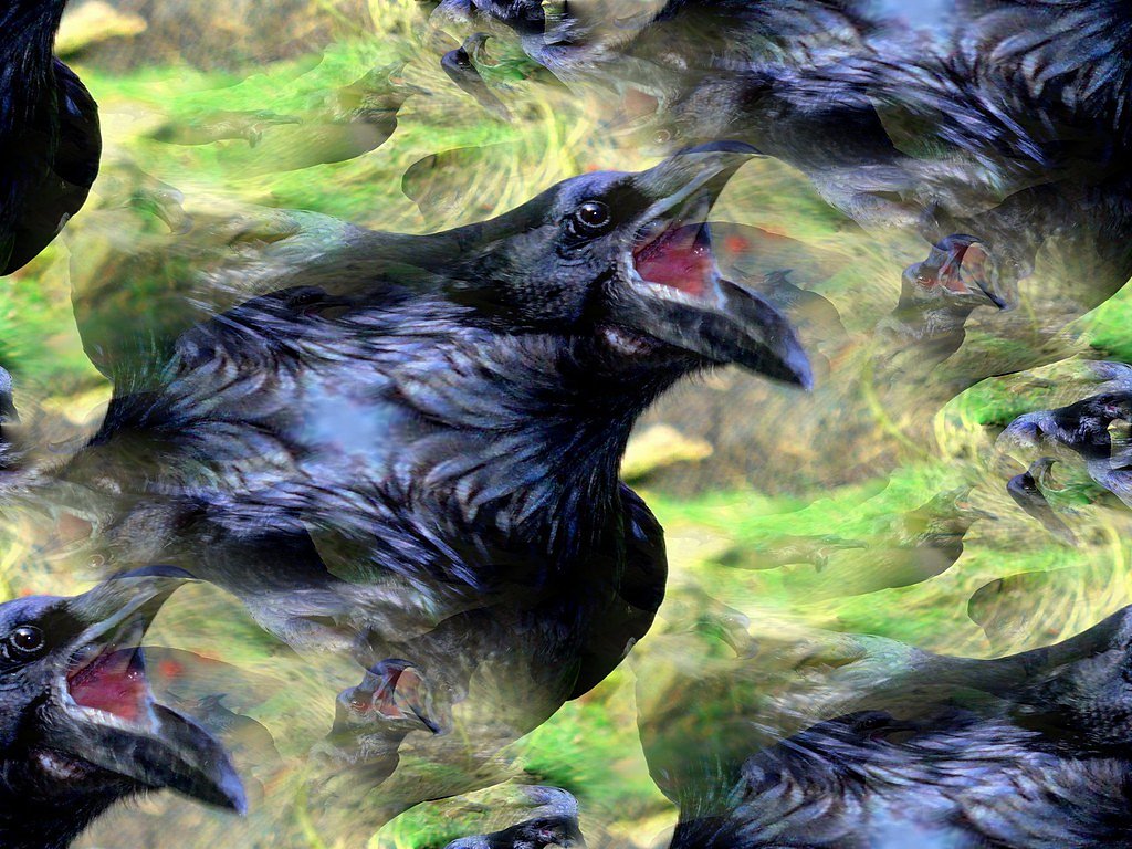 Lost Falls waterfall