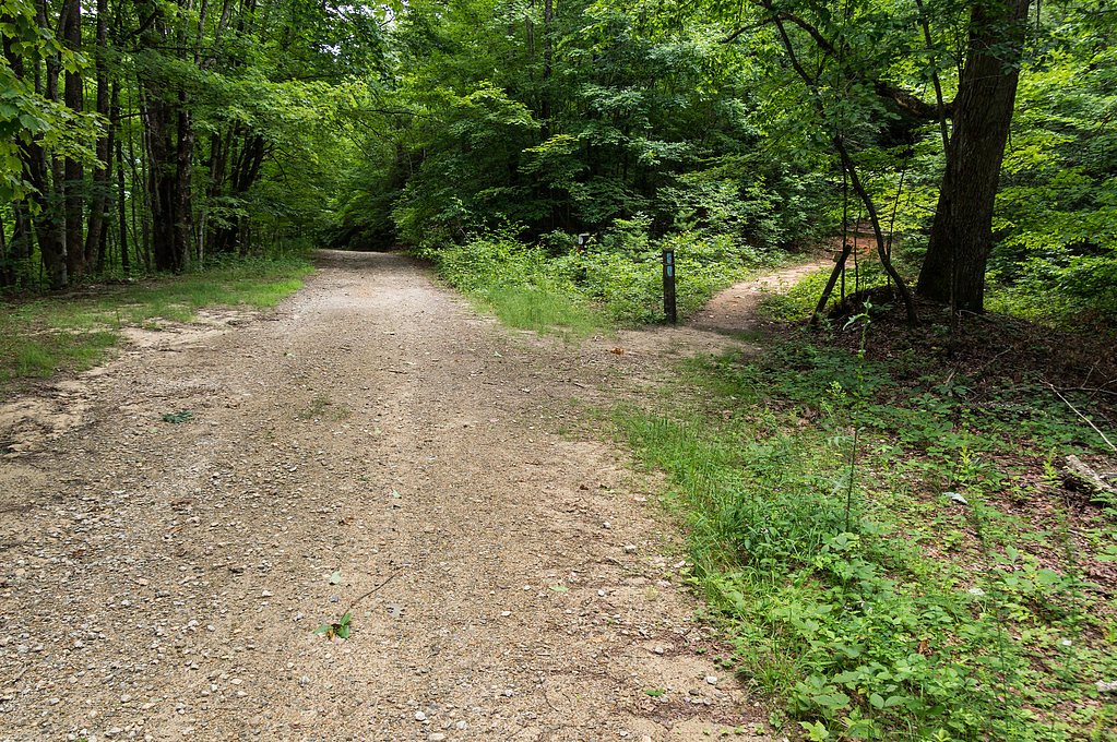 Lower Falls waterfall