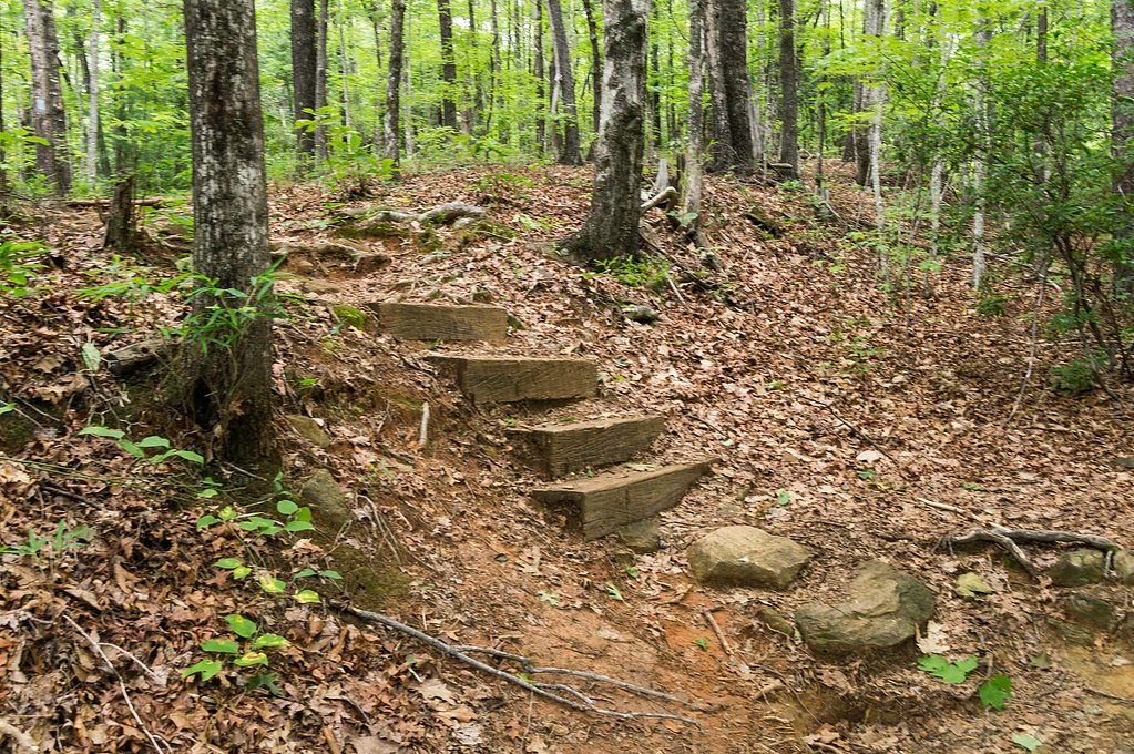Lower Falls waterfall