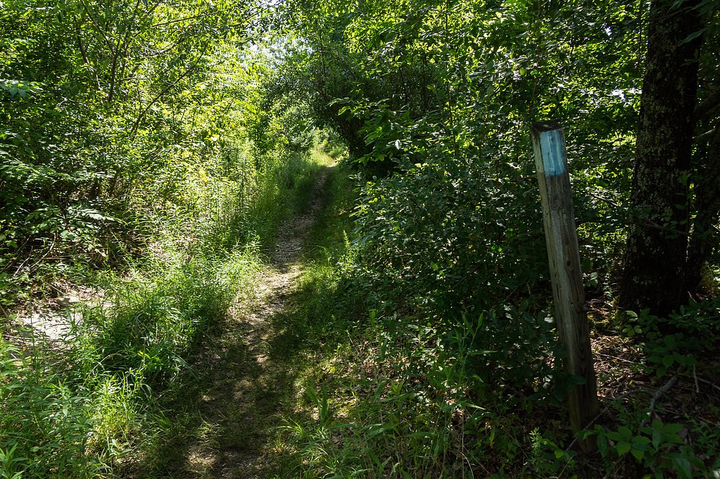 Lower Falls waterfall