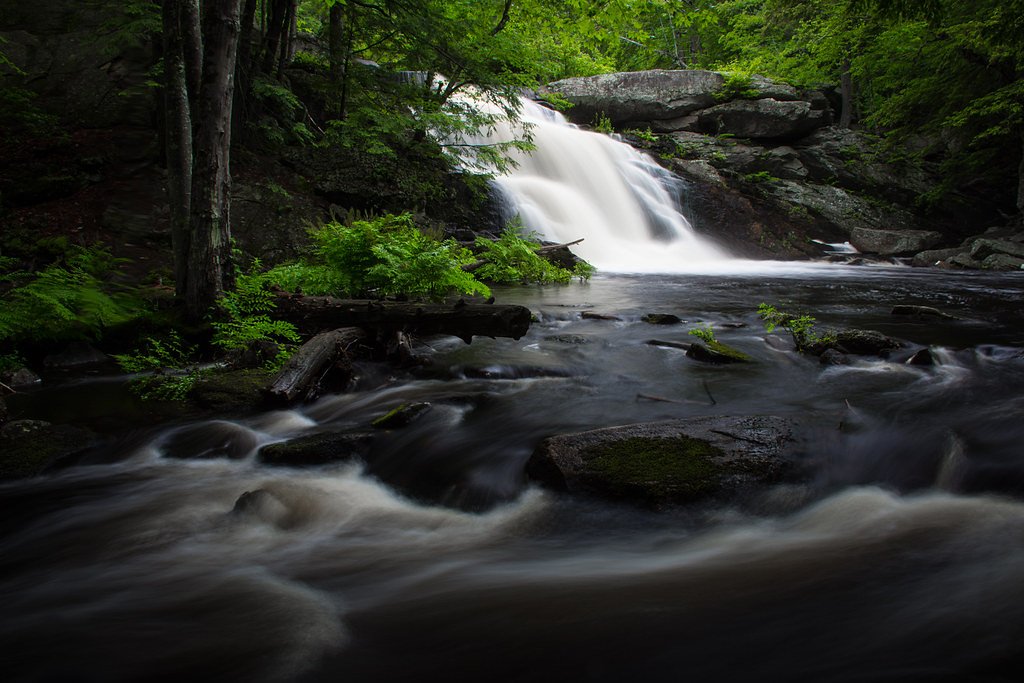 Lower Falls waterfall