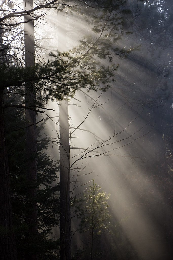 Lower Falls waterfall