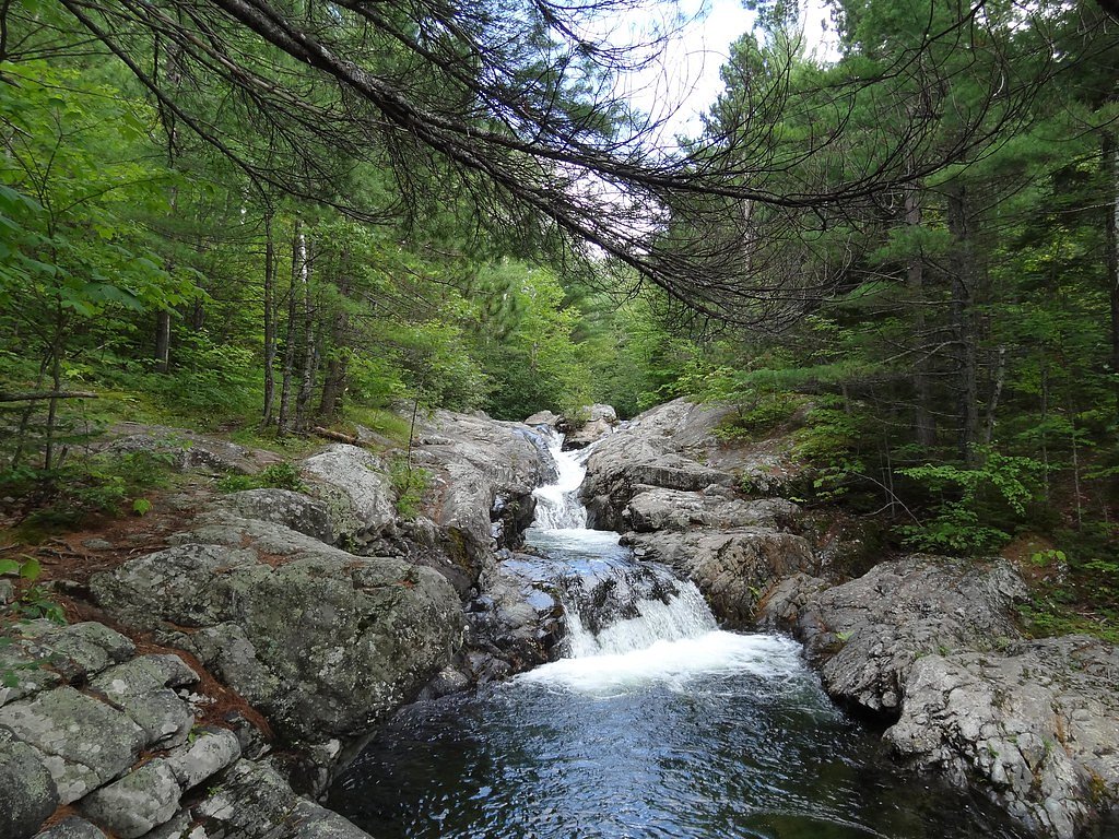 Lower Falls waterfall