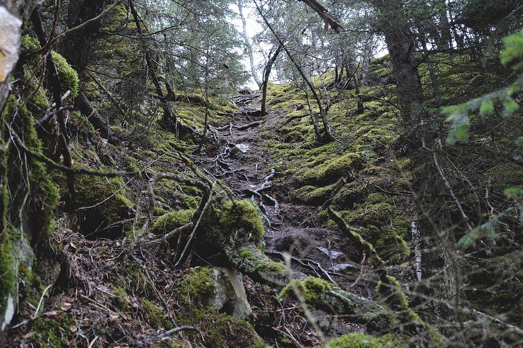 Lower Falls waterfall