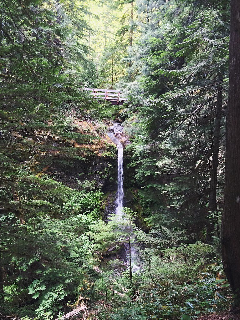 Lower Falls waterfall
