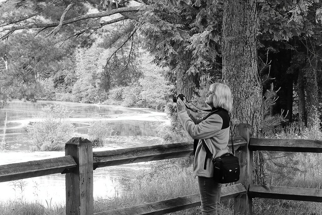 Lower Falls waterfall