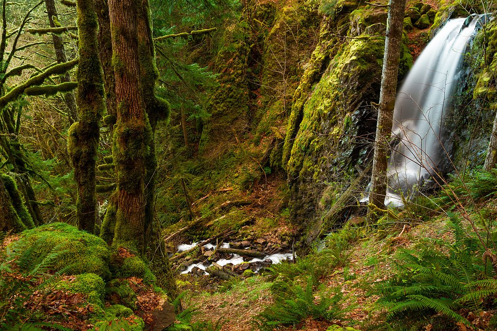 Lower Shellburg Falls waterfall