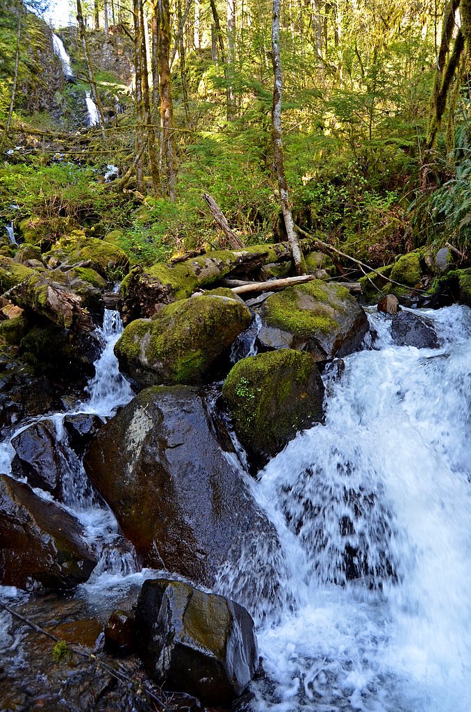 Lower Shellburg Falls waterfall