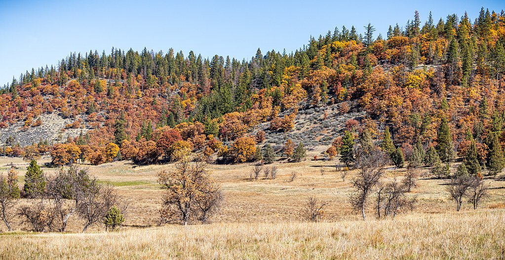Lower Soda Falls waterfall