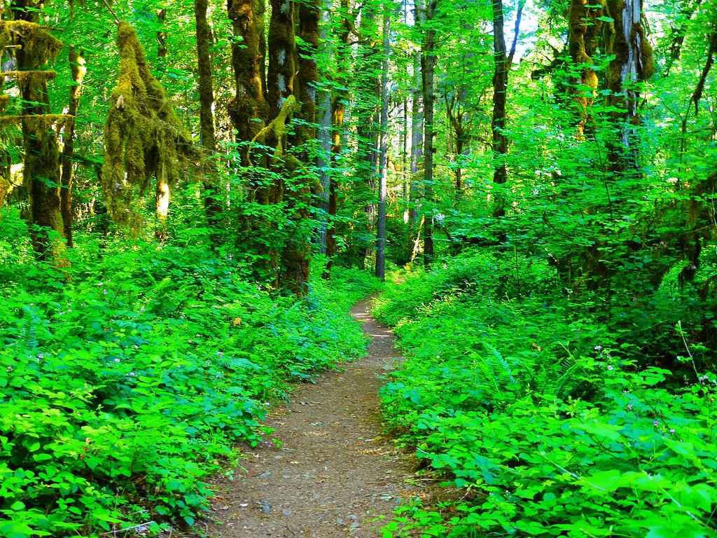 Lower Soda Falls waterfall