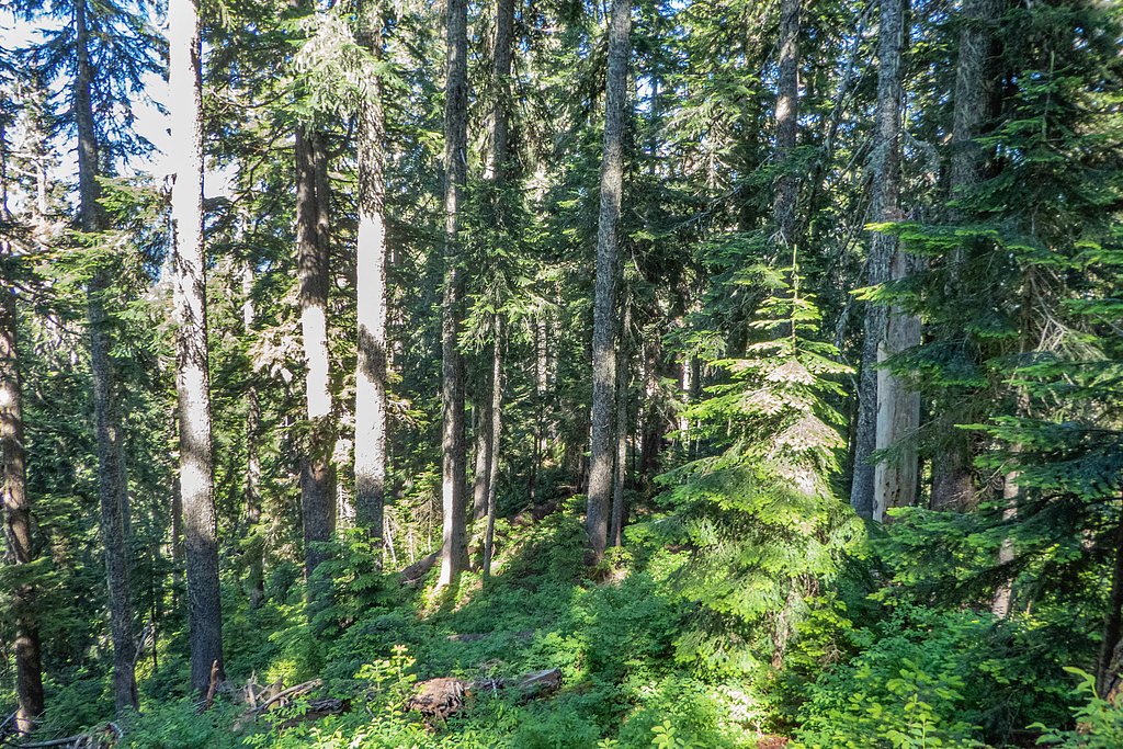 Malachite Falls waterfall