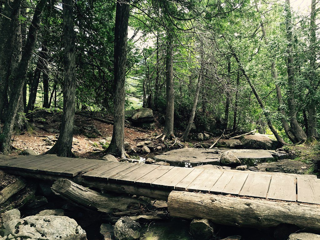 Man O'War Brook Falls waterfall